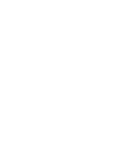 Fox Store Logo